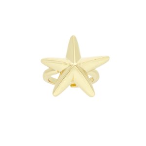 Anillo Chapa de Oro