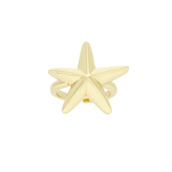 Anillo Chapa de Oro