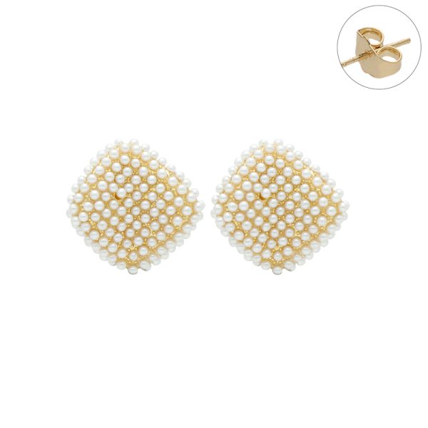 Arete Chapa de Oro