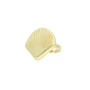 Anillo Chapa de Oro