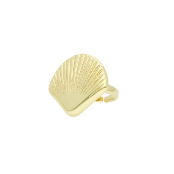 Anillo Chapa de Oro
