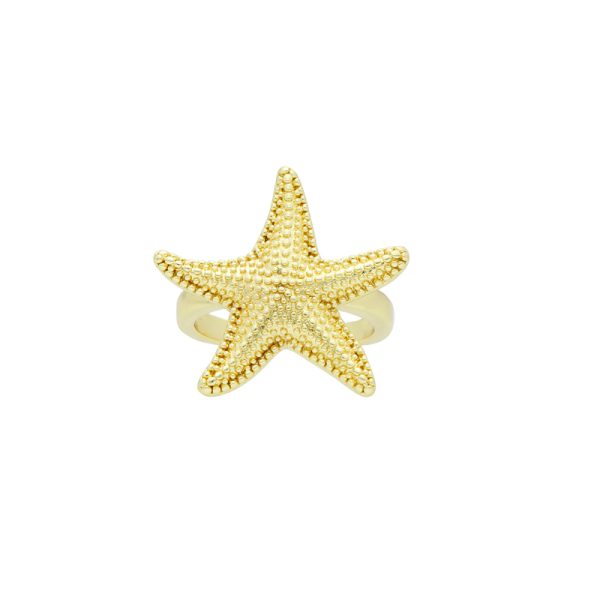 Anillo Chapa de Oro