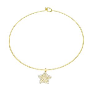 Collar Chapa de Oro