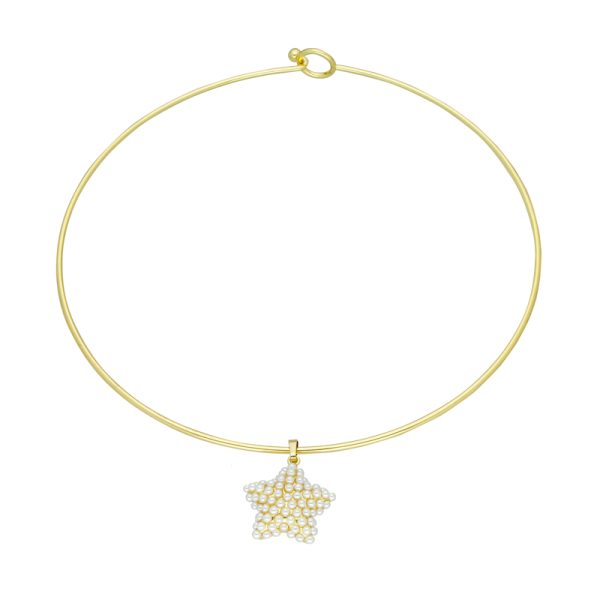 Collar Chapa de Oro BO2229
