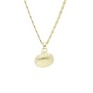 Collar Chapa de Oro