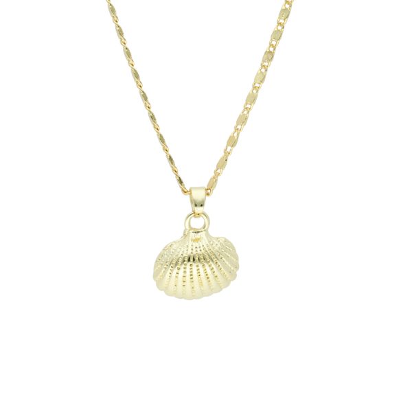 Collar Chapa de Oro BO2240