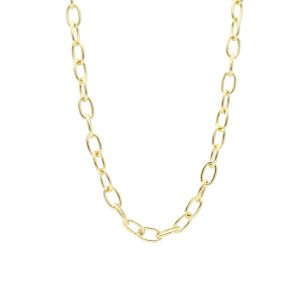 Collar Chapa de Oro