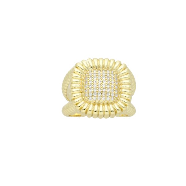 Anillo Chapa de Oro
