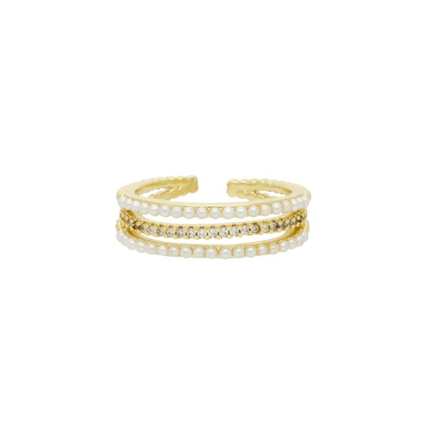 Anillo Chapa de Oro
