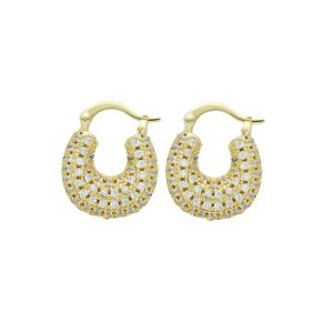 Arete Chapa de Oro
