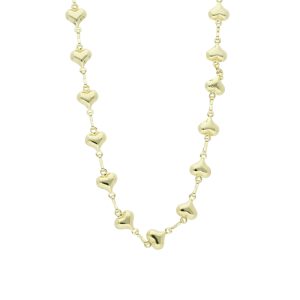 Collar Chapa de Oro