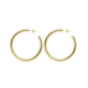 Arete Chapa de Oro