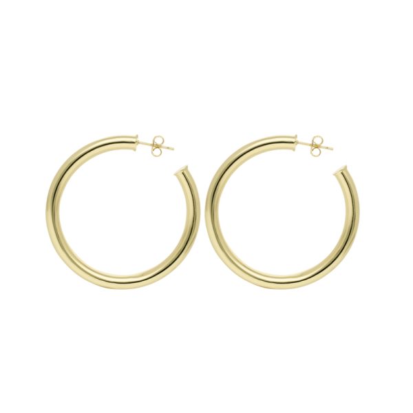 Arete Chapa de Oro