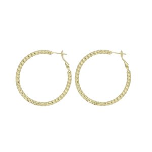 Arete Chapa de Oro