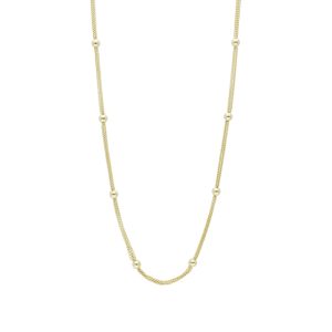 Collar Chapa de Oro