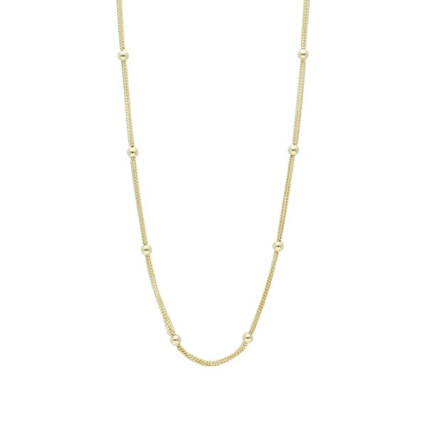 Collar Chapa de Oro BO2525