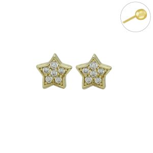 Arete Chapa de Oro