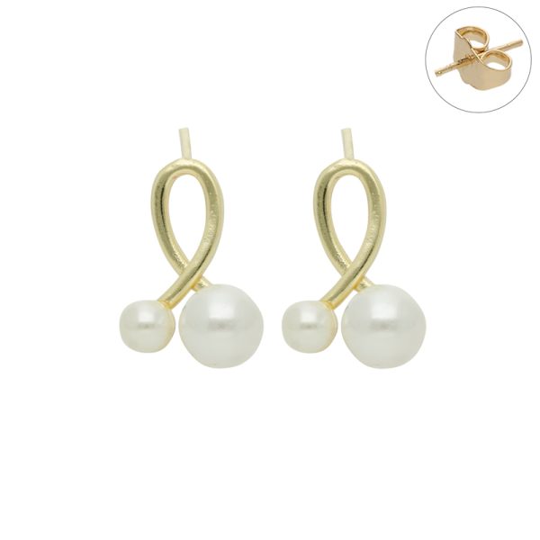 Arete Chapa de Oro