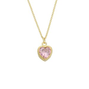 Collar Chapa de Oro