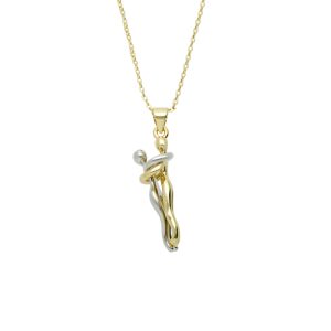 Collar Chapa de Oro