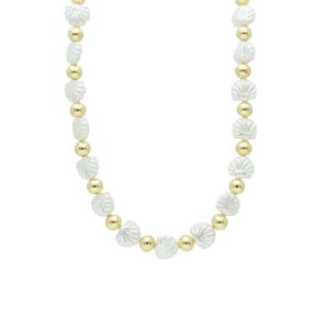 Collar Chapa de Oro