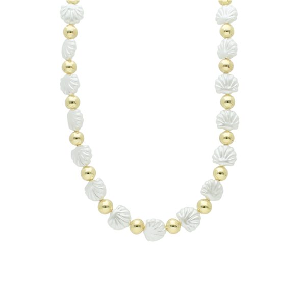 Collar Chapa de Oro