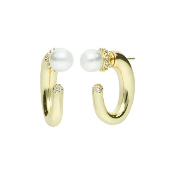 Arete Chapa de Oro