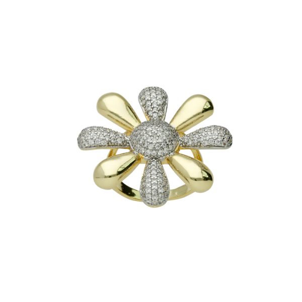 Anillo Chapa de Oro