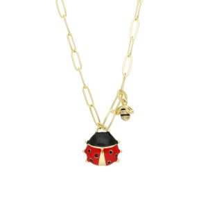 Collar Chapa de Oro