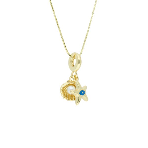 Collar Chapa de Oro
