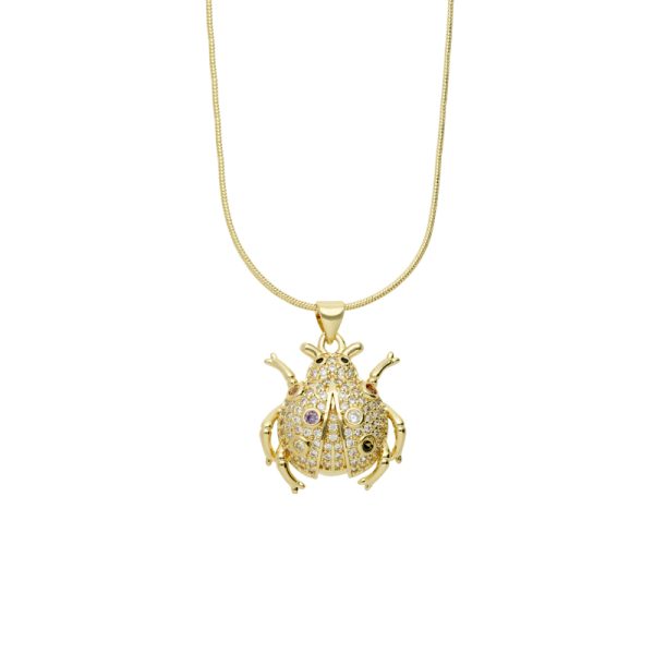 Collar Chapa de Oro