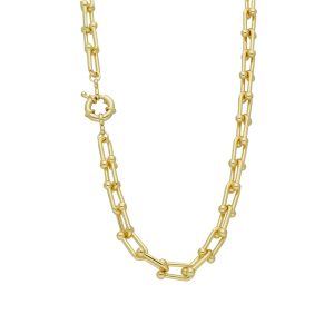 Collar Chapa de Oro