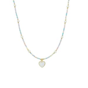 Collar Chapa de Oro
