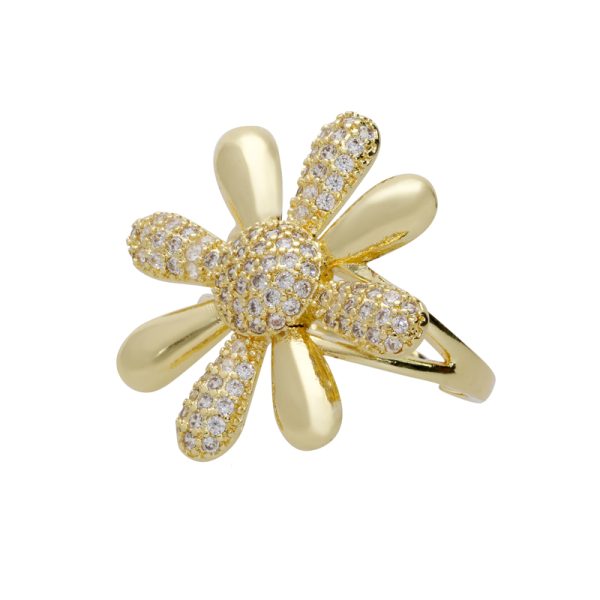 Anillo Chapa de Oro