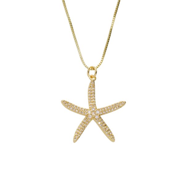 Collar Chapa de Oro