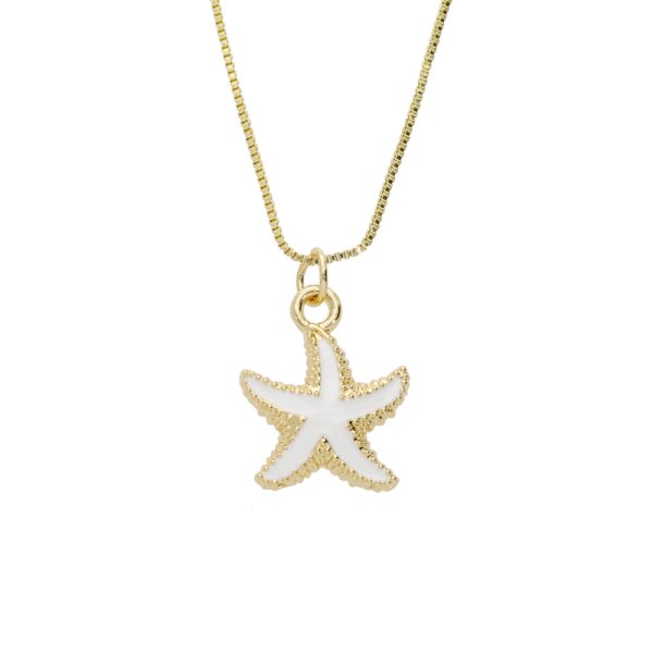 Collar Chapa de Oro