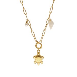 Collar Acero Inoxidable A003670