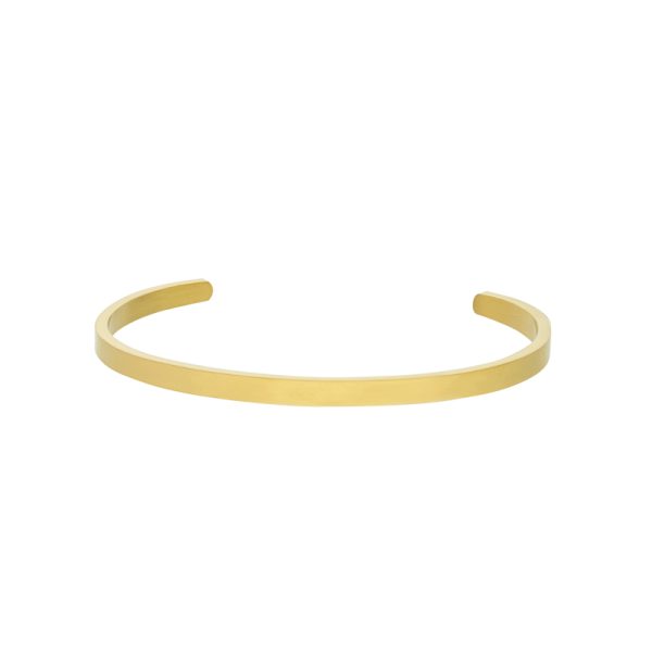 Pulsera Acero Inoxidable  A003879