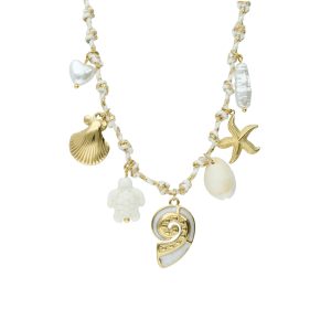 Collar Acero Inoxidable A003919