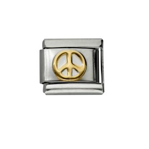 Charm de Acero Inoxidable A003927