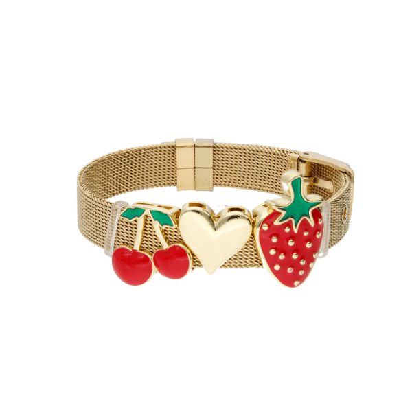 Pulsera Chapa de Oro y Acero BA0900