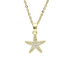 Collar Chapa de Oro y Acero BA0916