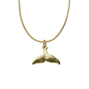 Collar Chapa de Oro BO3077