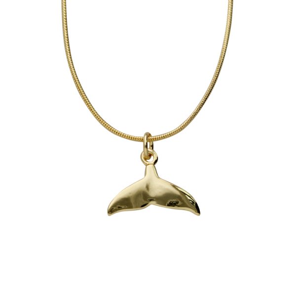 Collar Chapa de Oro BO3077