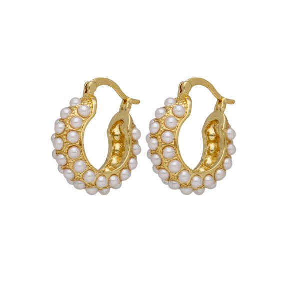 Arete Chapa de Oro BO3078