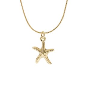 Collar Chapa de Oro BO3083