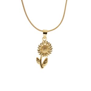 Collar Chapa de Oro BO3115