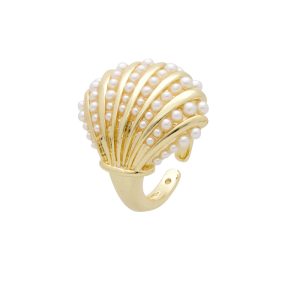 Anillo Chapa de Oro BO3172 BO3172