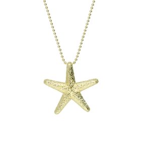 Collar Chapa de Oro  BO3265