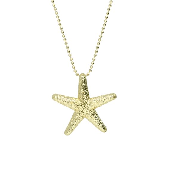Collar Chapa de Oro  BO3265